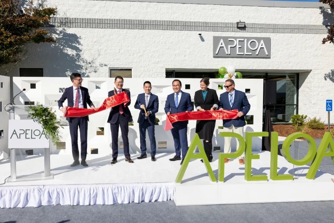 No alternative text description for this image